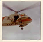 18_010.jpg (50403 bytes)