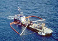 Bayberry65400_1.jpg (132121 bytes)