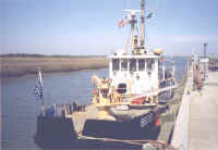 Blackberry65303.jpg (21196 bytes)