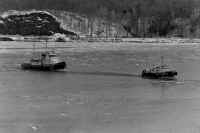 File0054.jpg (55256 bytes)