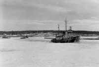 File0055.jpg (40323 bytes)