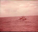 chilulayourbusted2.jpg (13344 bytes)