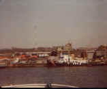 clilula'sneighbor.jpg (13833 bytes)