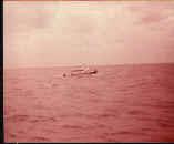 cluliula'syourbusted.jpg (13637 bytes)