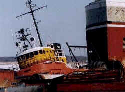 dancia2.jpg (32975 bytes)