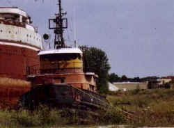 dancia.jpg (36708 bytes)