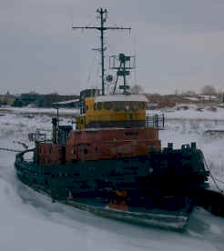 danica2.JPG (143555 bytes)