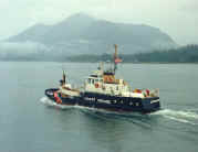 elderberry.jpg (36809 bytes)